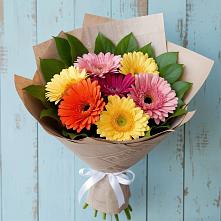 Букет цветов из:  Герберы #REPLACE_PRED# Заречье