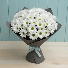 Букет цветов из:  Хризантемы #REPLACE_PRED# Заречье