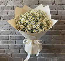 Букет цветов из:  Ромашки #REPLACE_PRED# Заречье